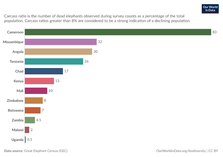 A thumbnail of the "African elephant carcass ratio" chart
