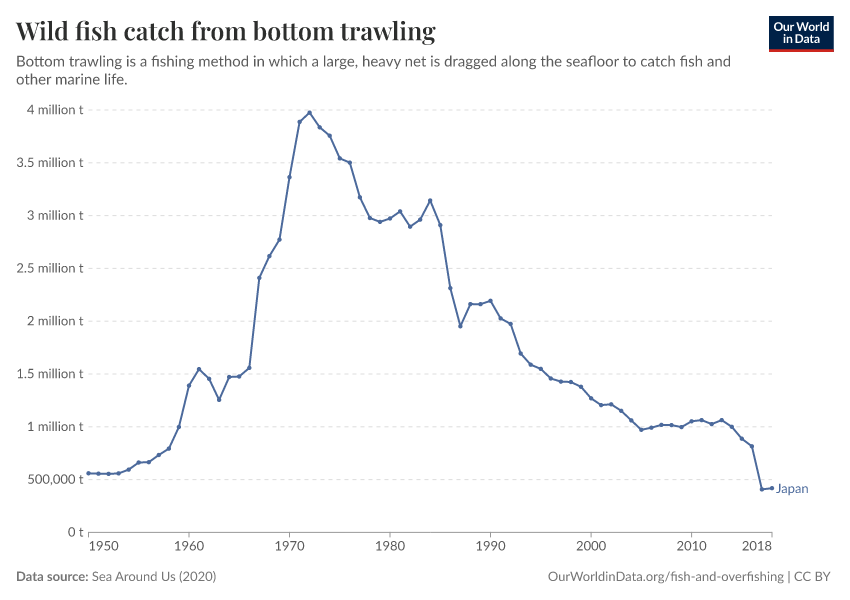 Wild fish catch from bottom trawling