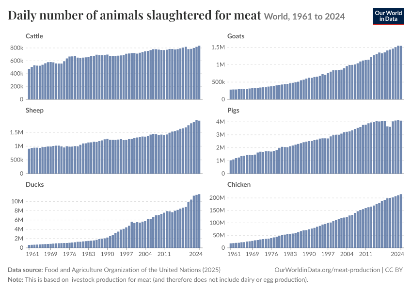 Daily number of animals slaughtered for meat